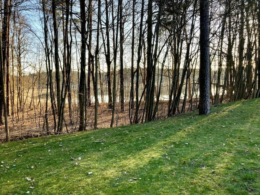 Haus Am Luebbesee Templin Exteriör bild
